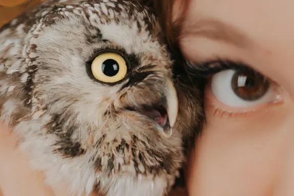 カジノカジノ カジノ サポート